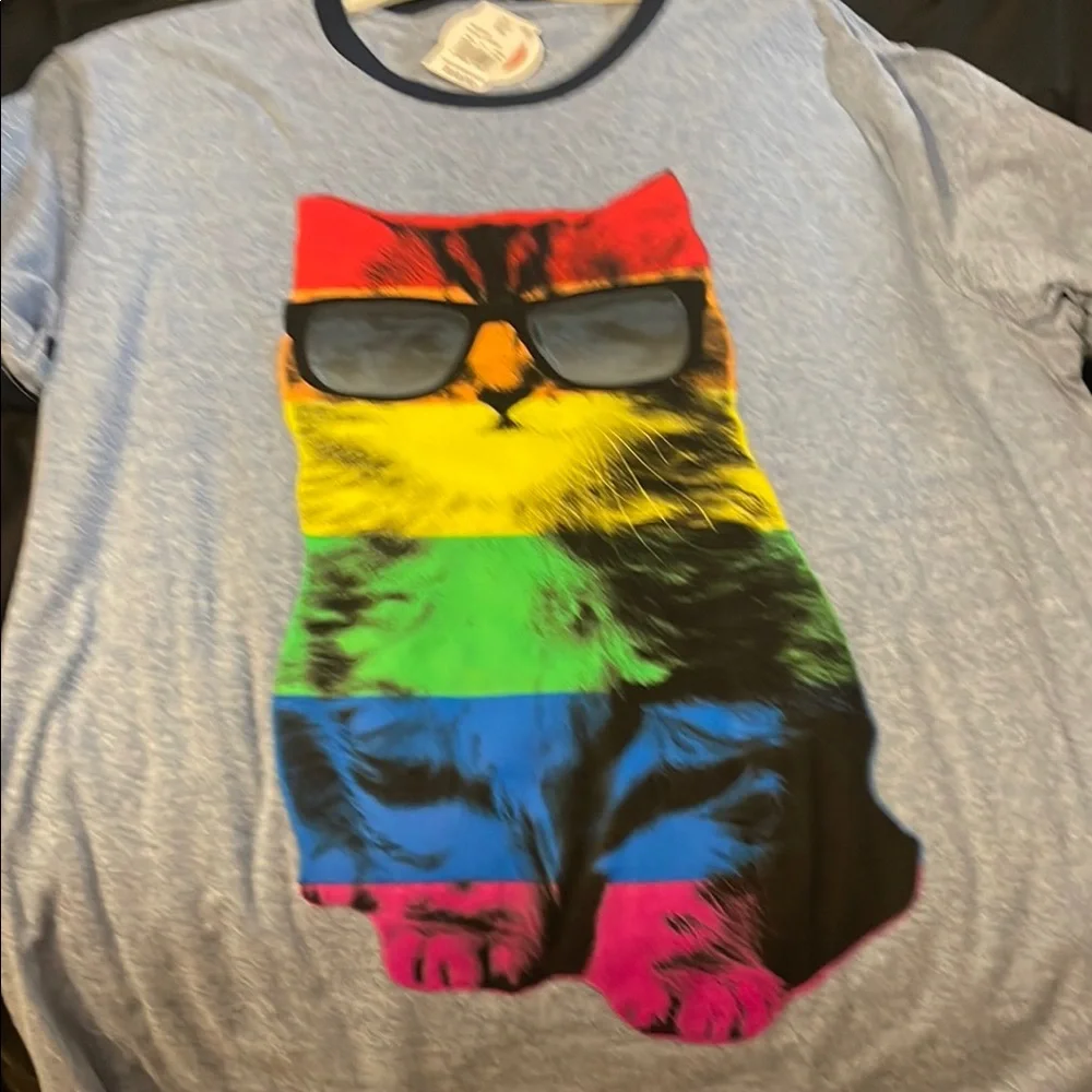 Well Worn Cat Tee with Rainbow Stripes